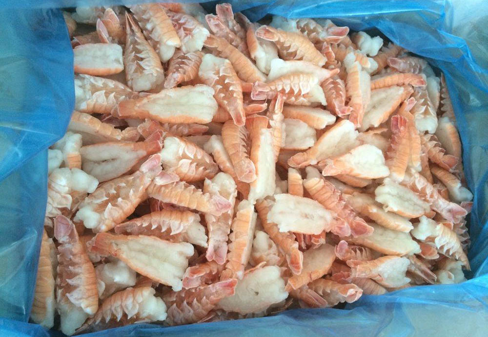 scampi topfood